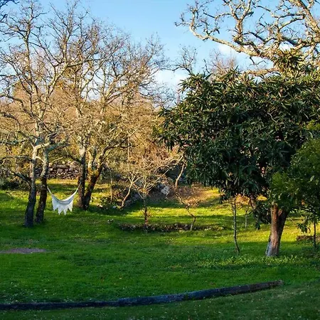 Casa Do Vale Do Papo *