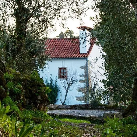 بيت للعطل Casa Do Vale Do Papo بومبال